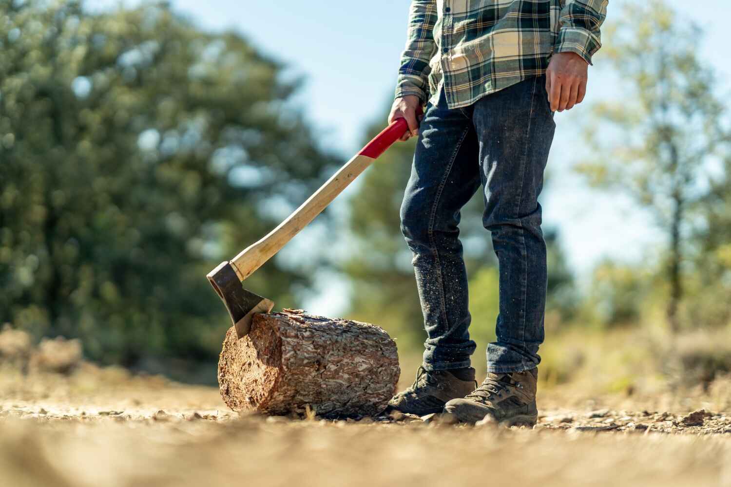 Best Large Tree Removal  in Gunnison, CO